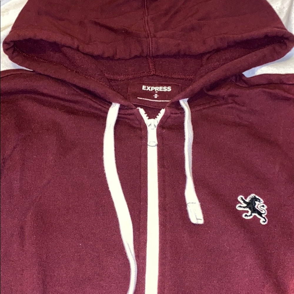 Express zip up sweater